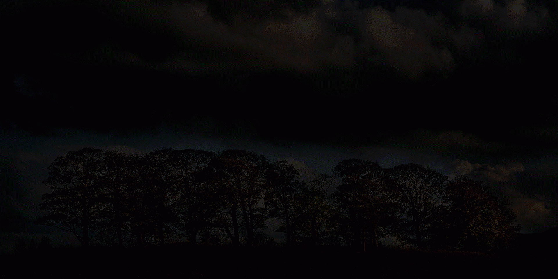 Norman Dodds - Cammo Night