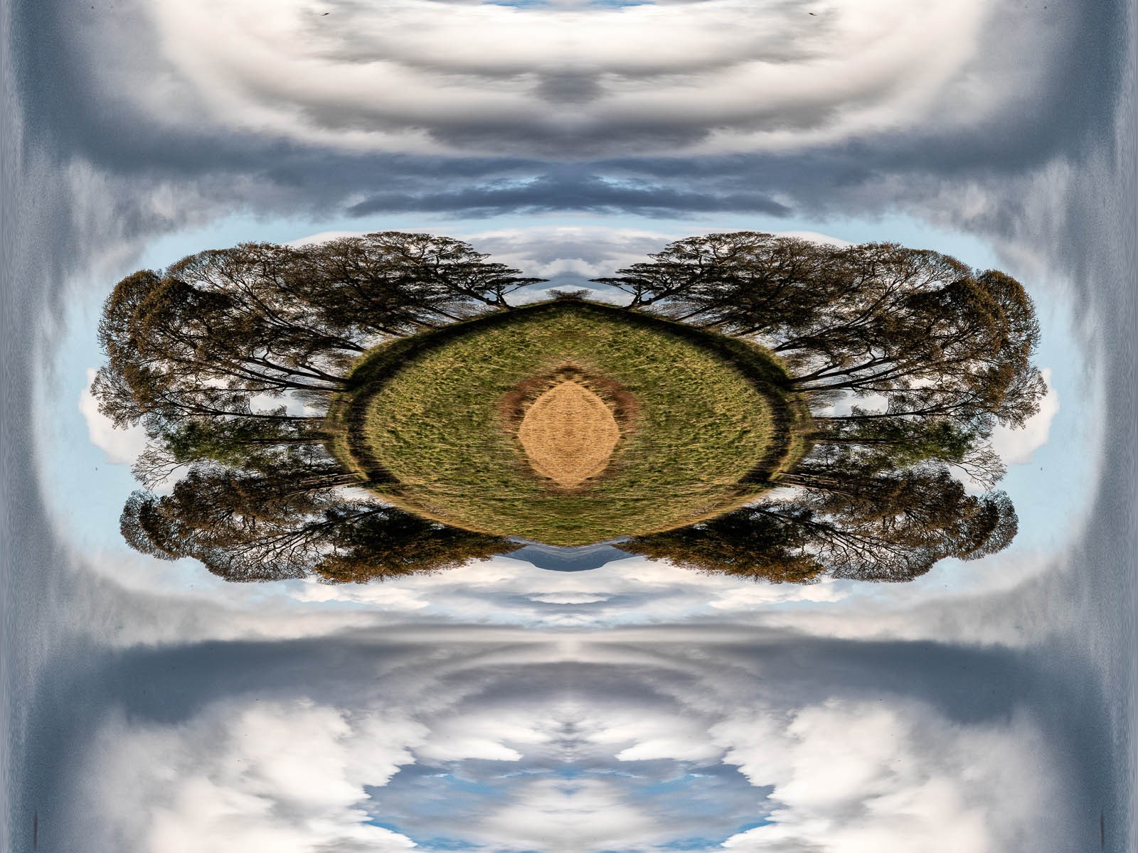 Alan Thomson - Cammo Landscape 2