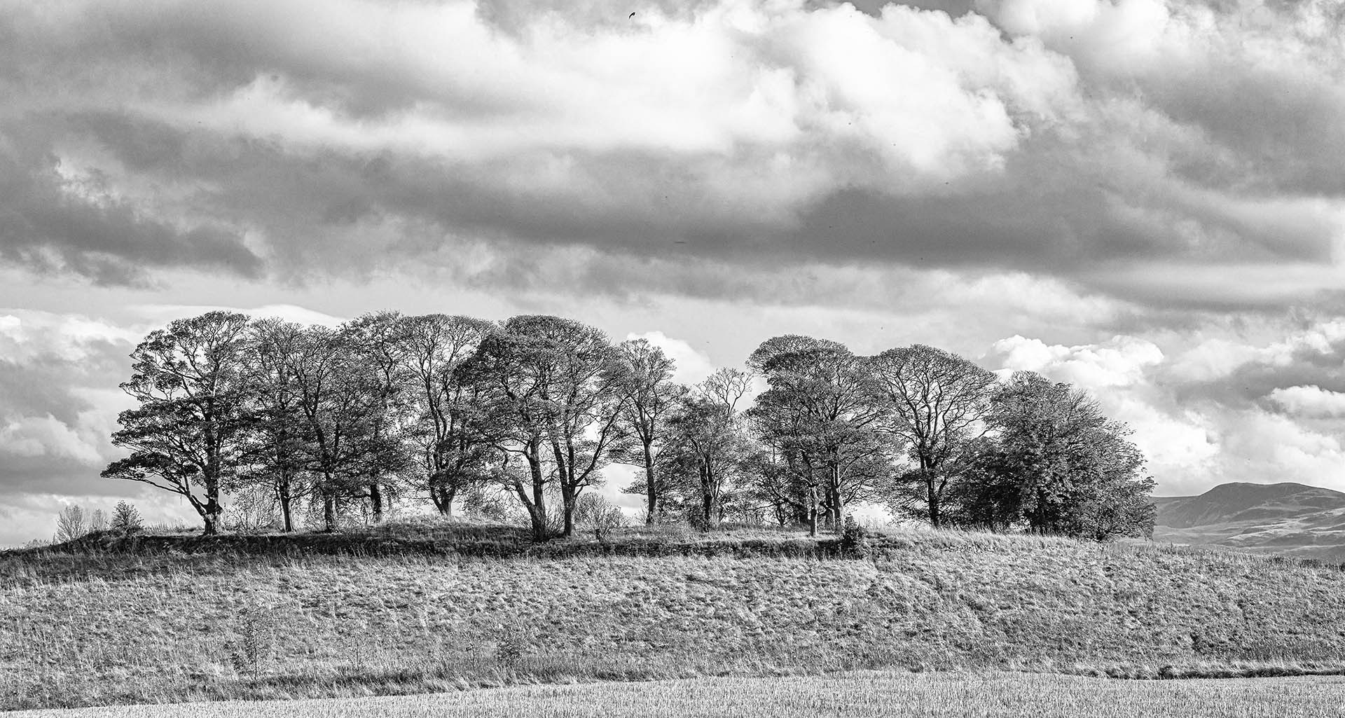 Alastair Forbes - Cammo Monochrome