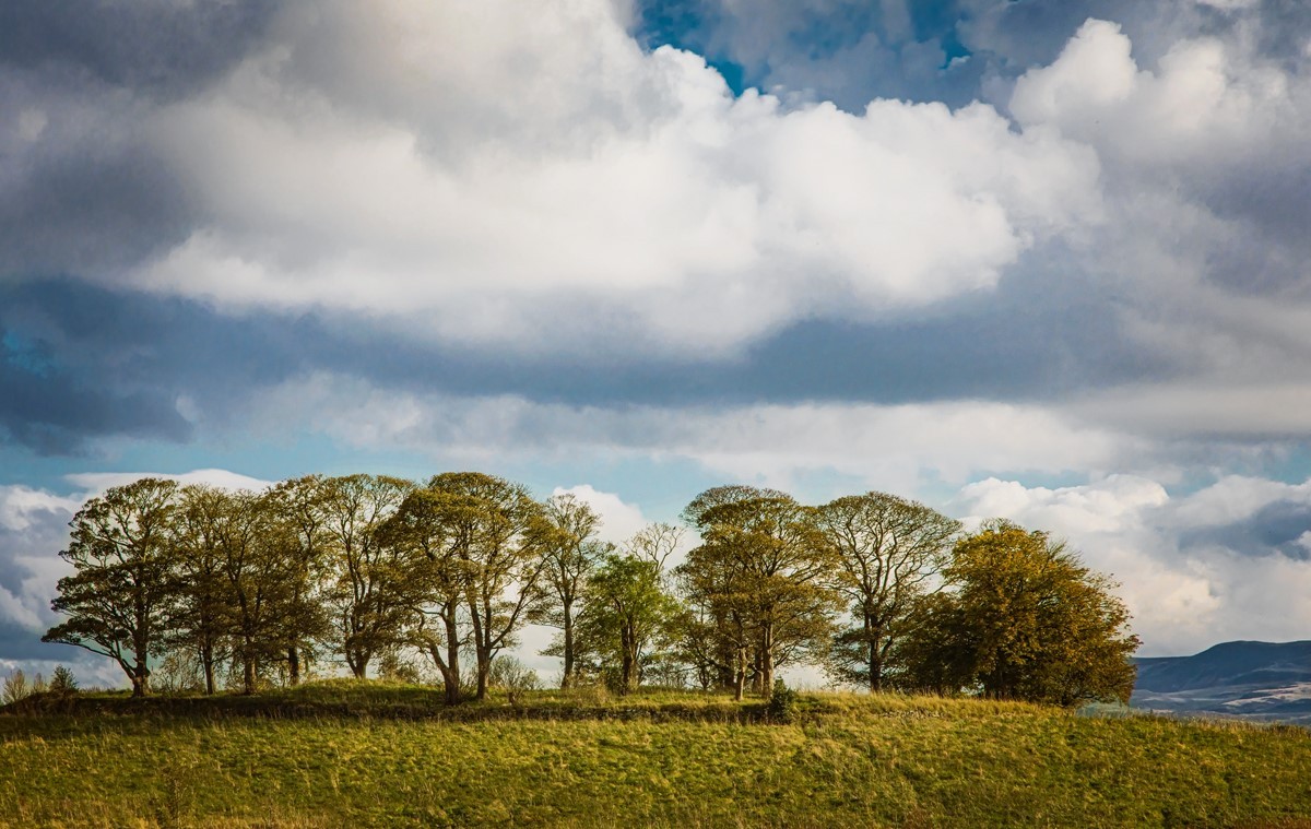 Alistair Cowan - Cammo 1