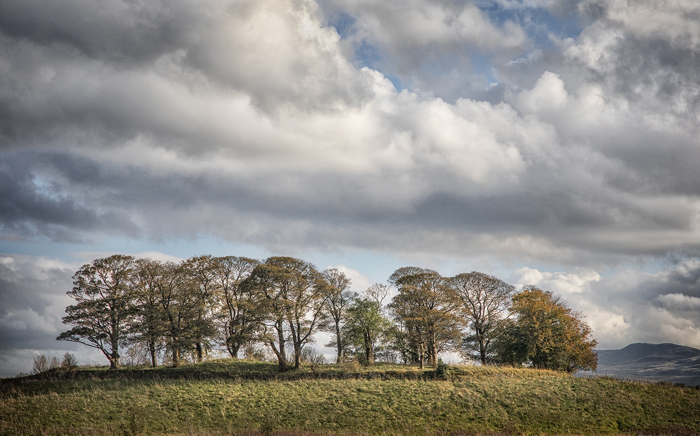 NeilMcCoubrey-CammoLandscape