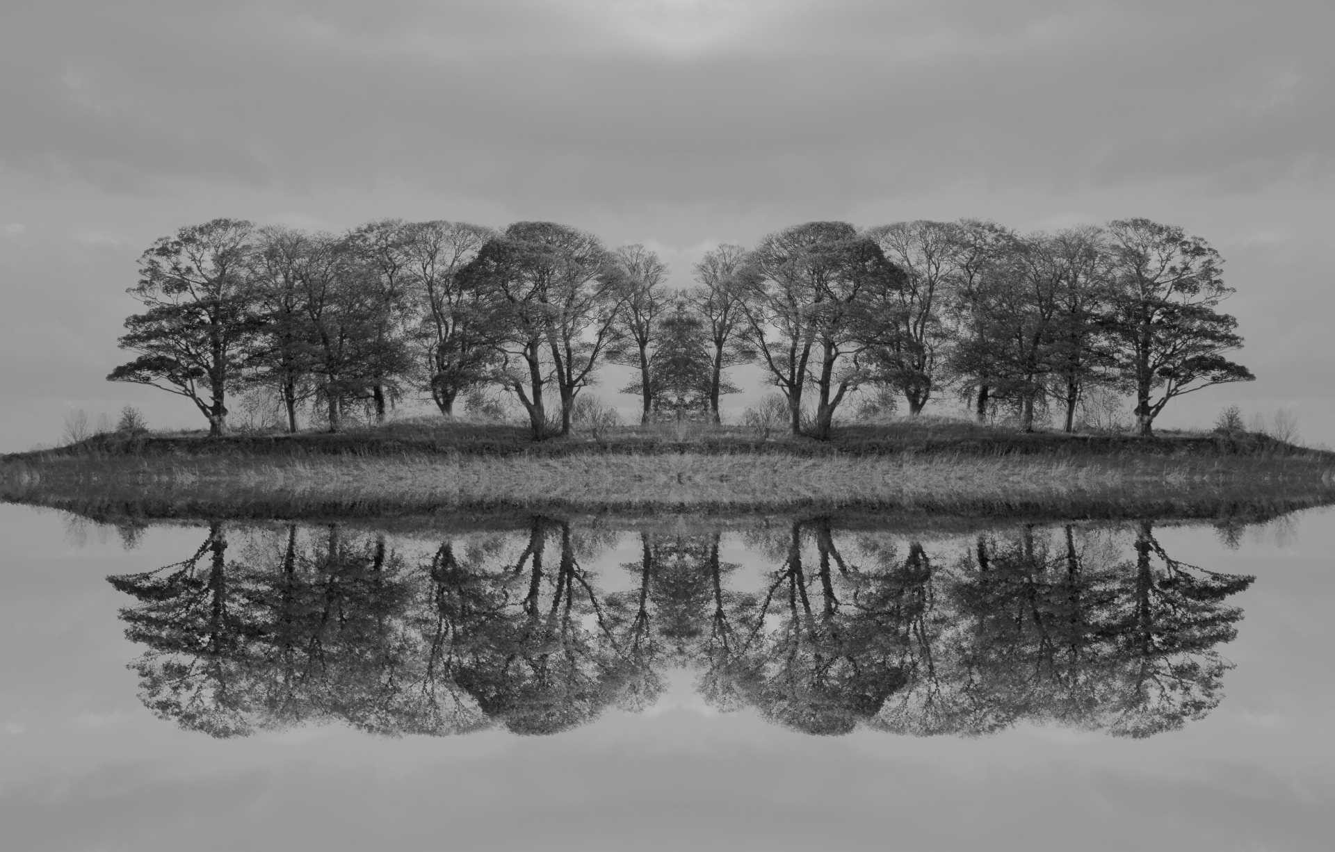 Nick Prior - Cammo Challenge  2