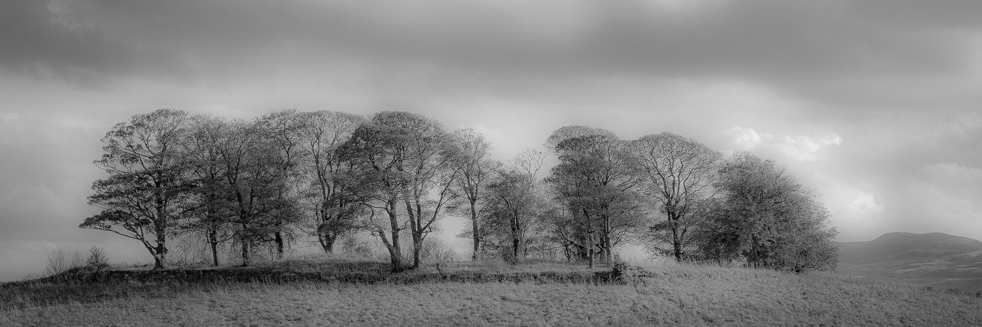 Nick Prior - Cammo Challenge 1