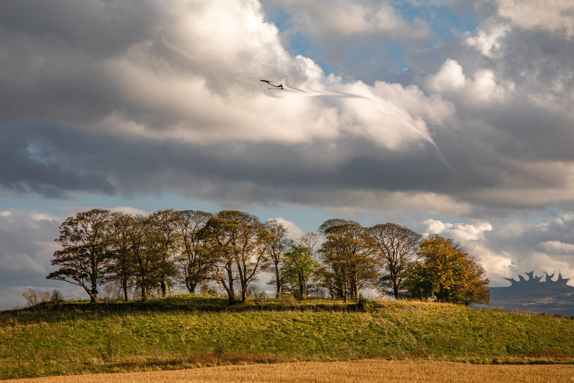 NickPrior-CammoChallenge3