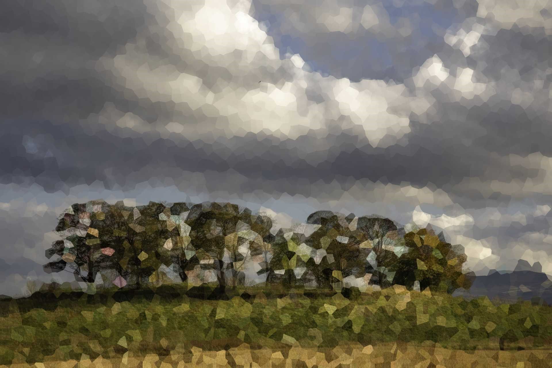 NickPrior-CammoChallenge4