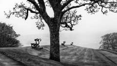 Benches, Berwick Benches, Berwick