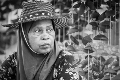 She Sells Sea Shells She Sells Sea Shells