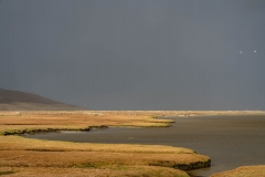 Alastair 17 Alastair 17