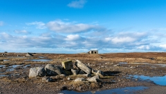 Alastair 03 Alastair 03