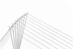 Bridge, Salford Bridge, Salford