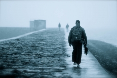 A Walk in the Mist A Walk in the Mist