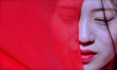 Lady in Red Lady in Red