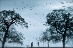 Upside Down Upside Down