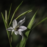 Night rain Night rain