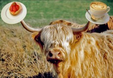 Anyone for coffee? Anyone for coffee?