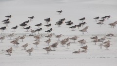 Into the wind Into the wind