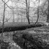 St Boswells Burn, Maxton St Boswells Burn, Maxton