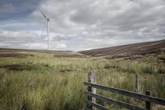 Windfarm and fence Windfarm and fence